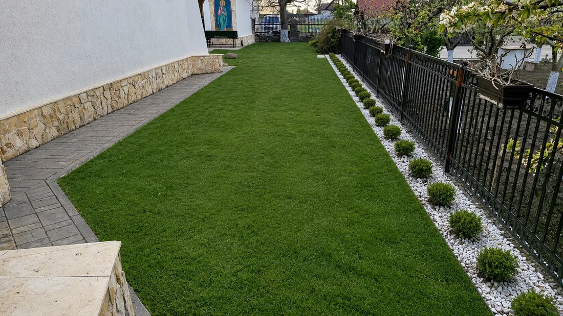 Fâșie de gazon proaspăt montat între o alee pavată și un gard de fier, mărginită de piatră albă cu buxus tuns bilă