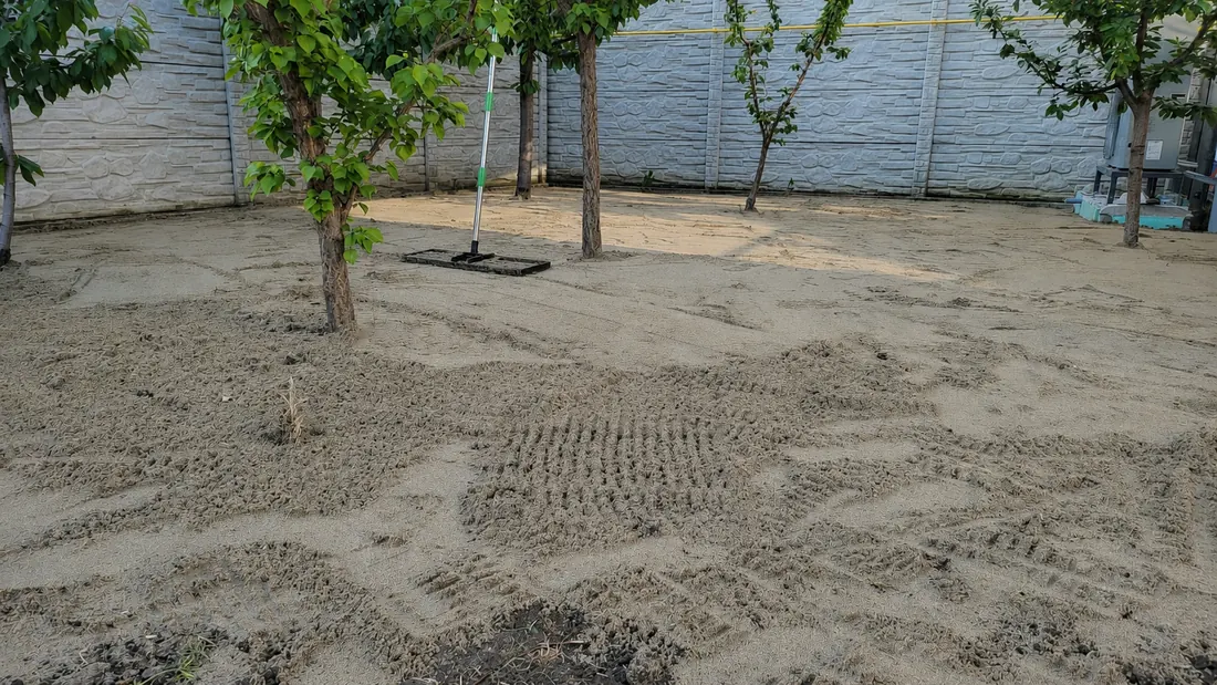 Aceeași curte înainte de semănat: sol nisipos nivelat și greblat, cu grebla de nivelare lăsată pe teren
