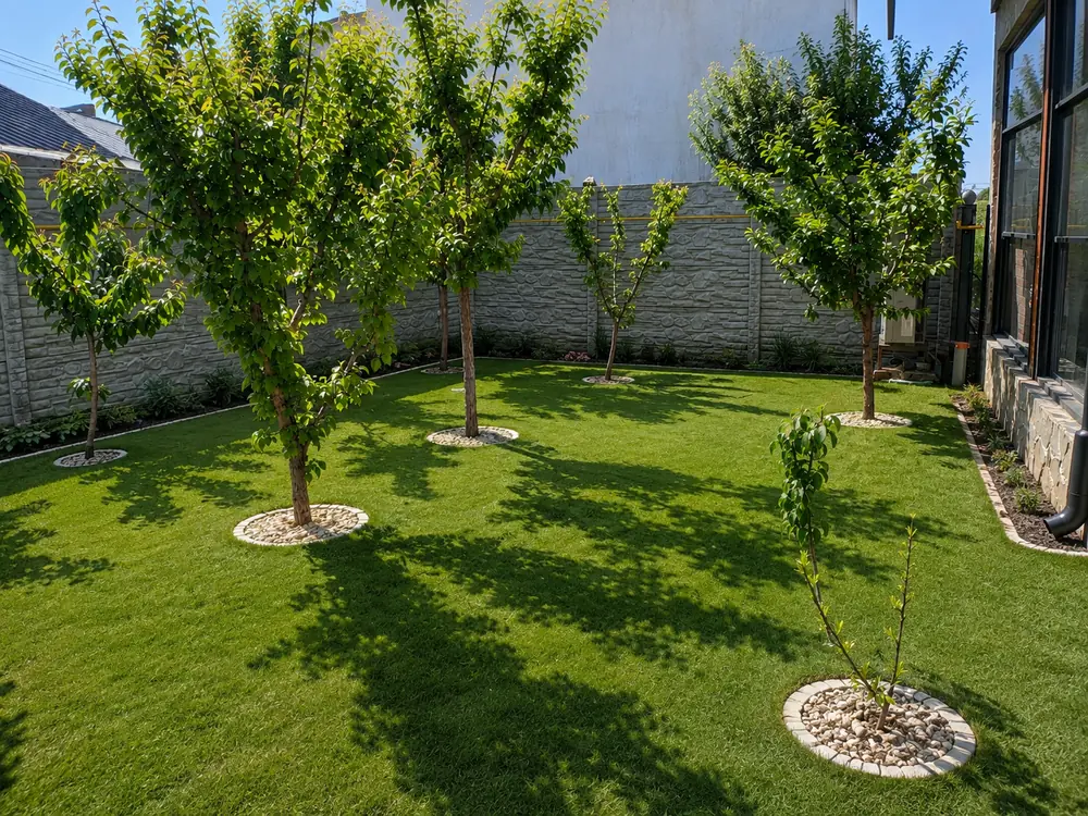 Aceeași curte după amenajare: gazon verde și des, cercuri de piatră decorativă la baza fiecărui pom și straturi plantate pe margini