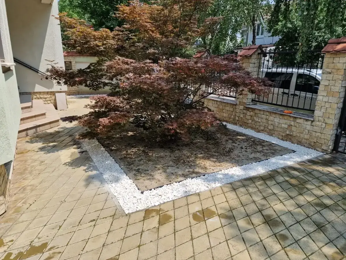 Curte din Buzău înainte de amenajarea stratului de sub arțar, cu pământ liber și piatră albă pe margine