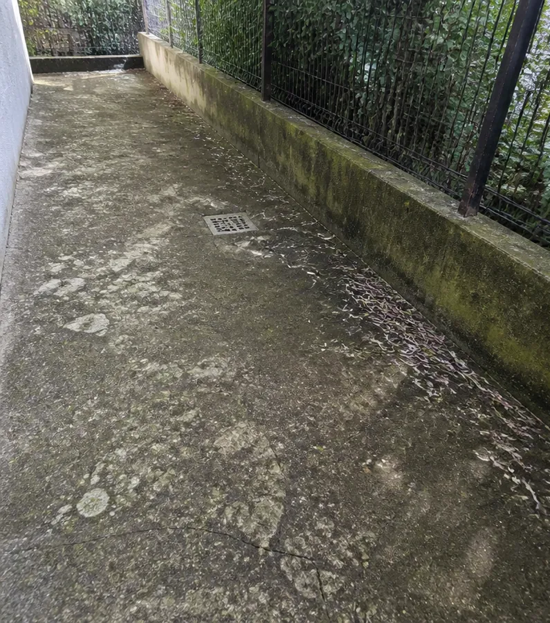 Simulare vizuală: alee din beton cu licheni și depuneri înainte de spălare